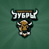 Логотип телеграм канала @zubrclub — ССК «Тимирязевские Зубры»