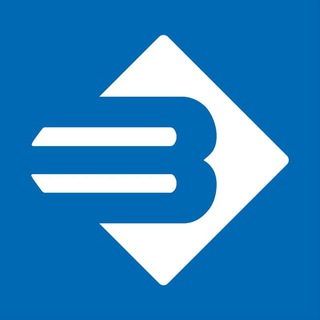 Логотип телеграм канала @zubrnews — ЗУБР новости