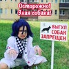Логотип телеграм канала @zucchini1512 — Цукини и ее цукинята🥰🍆