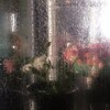 Логотип телеграм канала @zullkii — сад изящных слов