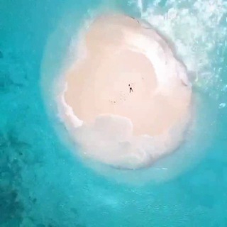 Логотип телеграм канала @zumbamaldives — Мальдивы Maldives