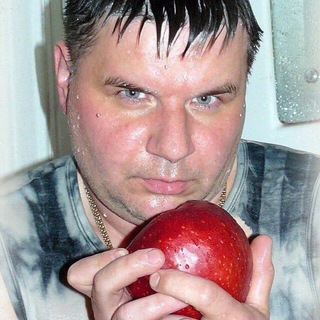 Логотип телеграм канала @zv_pornhub_zv — Бричка и Панчи