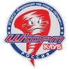 Логотип телеграм канала @zvencheer — Чир спорт в Звенигороде