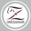 Логотип телеграм канала @zvezdniycomplex — Загородный комплекс «Звёздный»