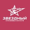 Логотип телеграм канала @zvezdniyteam — КБИ «Звездный»