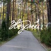 Логотип телеграм канала @zvnolove — в звездном любят