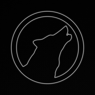 Логотип телеграм канала @zvolki2 — Злые Волки 2.0