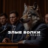 Логотип телеграм канала @zvsmi — Злые Волки. Официальные.