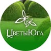 Логотип телеграм канала @zwetyyuga — Цветы Юга