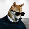 Telegram channel 全网最优@资源分享：精品 | 教程 | 破解 | 软件 | 收藏 logo