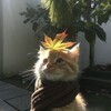 Логотип телеграм канала @zyntexi — lll