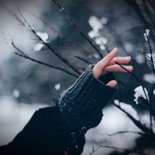 لوگوی کانال تلگرام zz_zdz — ،،
