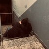 Логотип телеграм канала @zzzzzzizziz — Мир на двоих