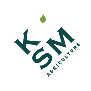 Telegram chat ЗЕРНО | KSM logo