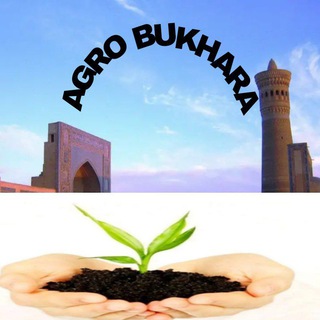 Telegram chat Agro Bukhara logo