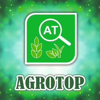 Telegram chat www.agrotop.kz logo