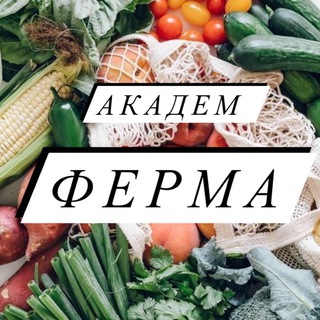 Telegram chat Академ ФЕРМА logo