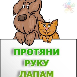 Telegram chat Волонтёры 🐶🐈 Алмалык logo