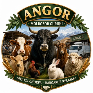 Telegram chatining logotibi angor_molbozor — Angor MOL BOZOR