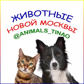 Логотип телеграм канала @animals_tinao — Животные Новой Москвы / ТиНАО чат