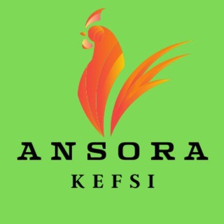 Telegram chat Ansora kefsi logo