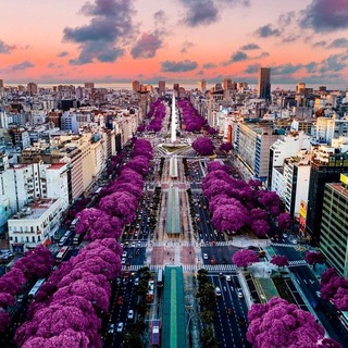 Telegram chat 🇦🇷Аргентина помощь: переезд, беременность рантье, монотрибуто и аренда квартир logo