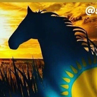 Telegram чатының логотипі aventura_kz — ✊🏼