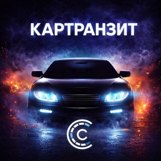 Telegram chat CARTRANSIT logo