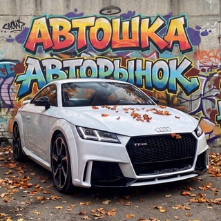Telegram chat Автошка Авторынок Нижний Новгород logo