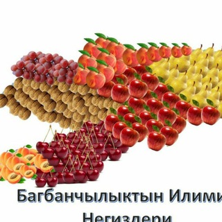 Telegram chat БАГБАНДАР БИРИМДИГИ logo