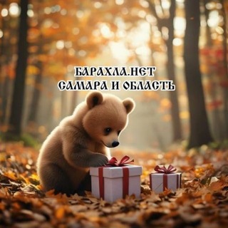 Telegram chat БАРАХЛА.НЕТ САМАРА И ОБЛАСТЬ logo