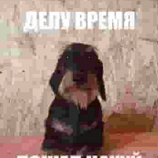 Telegram chat Вейп Барахолка Энгельс/Саратов logo
