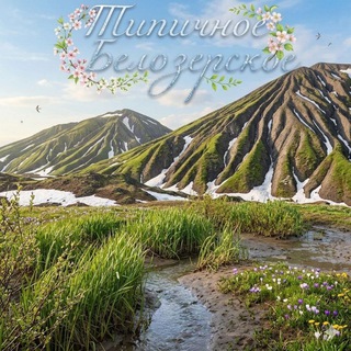 Telegram chat ⚜️ Типичное Белозерское и соседи (Доброполье, Новодонецкое, Александровка)⚜️ logo