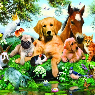 Telegram chat Любимые животные 🐾 Зоо Сельхоз Аква Вет logo