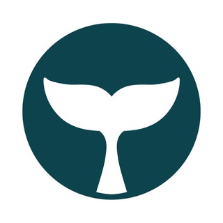 Telegram chat BelugaPay Official logo