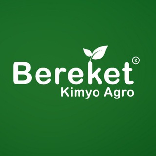 Telegram chat «BEREKET KIMYO AGRO» MChJ QK logo