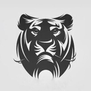 Telegram chat Money Tigers Chat logo
