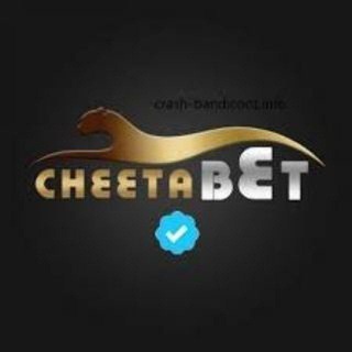 Telegram chat گروه شرطبندی چیتابت چیتا بت logo