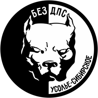 Telegram chat ⚜️БЕЗ ДПС⚜️ Усолье-Сибирское и район logo