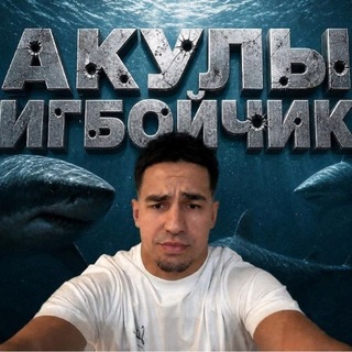 Telegram chat 🦈АКУЛЫ БИГБОЙЧИКА🦈 logo