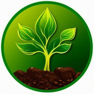 Telegram chat 🌳 Биржа растений 🌲 logo