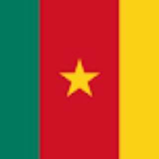 Telegram chat Bitcoin Cameroon logo