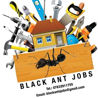 Telegram chat Black Ants Jobs Uk logo