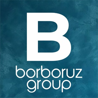 Telegram chat borboruz_group logo