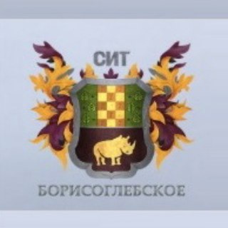 Telegram chat ЖК Борисоглебское 🏡 Оценка & Приёмка Квартир | САФЕТИ logo