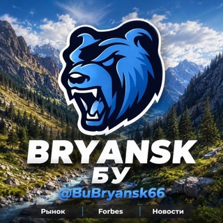 Telegram chat BR | БУ Рынок BRYANSK 66 logo