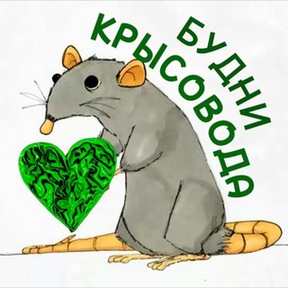 Логотип телеграм-чата budnikrisovoda — БУДНИ КРЫСОВОДА