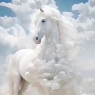 Telegram chat 🇺🇿Яккабог 🐎 Будёни🇺🇿 полвонлар🇺🇿отбозлар 🐎группаси logo