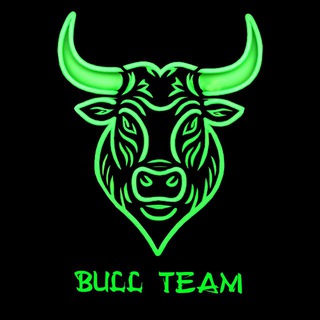 Telegram chat BULL TEAM COMMUNITY logo