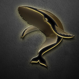 Telegram chat Bull Whale Signals logo